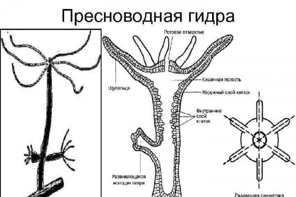 Кракен площадка вход