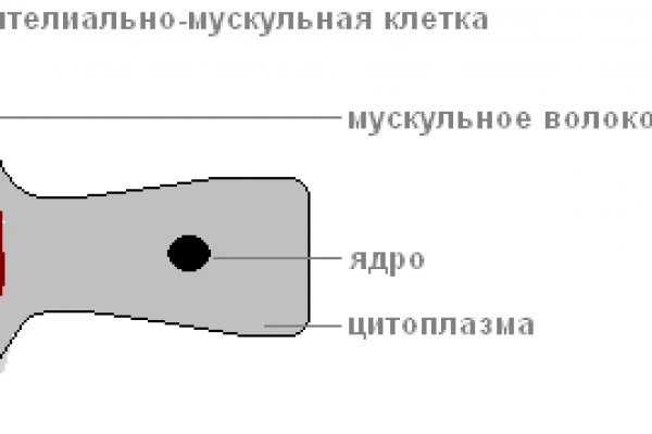 Ссылка на кракен 15ат