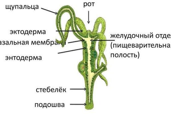 Кракен крипто